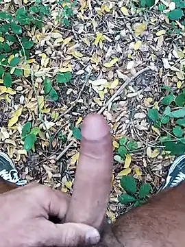 pegaso369 online show from October 22, 2025, 1:43 pm