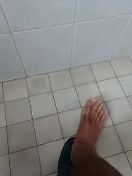 pegaso369 online show from November 20, 2025, 7:09 am