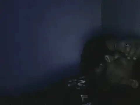 Snapshot of elpoop7305 chatting on October 19, 2025, 12:57 am elpoop7305 online show from October 19, 2025, 12:57 am