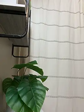 Snapshot of xHelloKitty chatting on February 14, 2026, 11:38 pm xHelloKitty online show from February 14, 2026, 11:38 pm