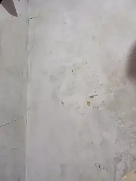 Snapshot of panquevis_22 chatting on November 16, 2025, 6:56 pm panquevis 22 online show from November 16, 2025, 6:56 pm