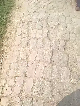 Bio-teacher online show from October 12, 2025, 8:05 am