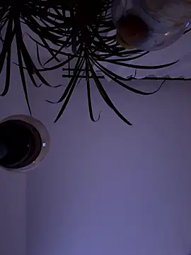 Jaropol online show from January 10, 2026, 1:23 am