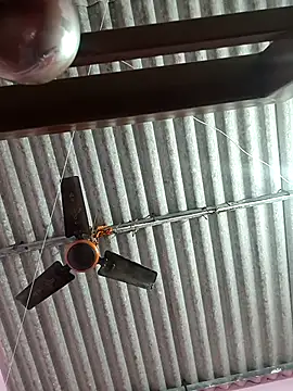 Snapshot of Cute-Swewty chatting on November 18, 2025, 2:53 pm Cute-Swewty online show from November 18, 2025, 2:53 pm