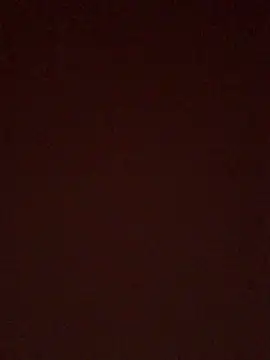 Snapshot of BrusqueEuphoria chatting on October 11, 2025, 4:57 am BrusqueEuphoria online show from October 11, 2025, 4:57 am