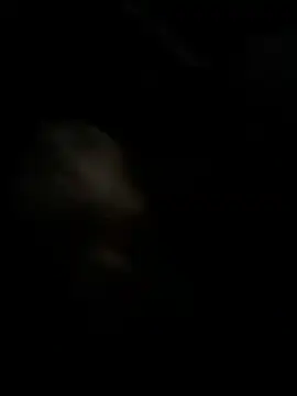 Snapshot of high3ndlowlife chatting on November 27, 2025, 2:12 am high3ndlowlife online show from November 27, 2025, 2:12 am