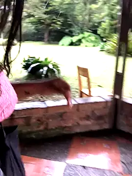 SophiaGuzman online show from October 11, 2025, 9:38 pm