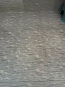 NoddingScorpion online show from February 10, 2026, 8:35 am