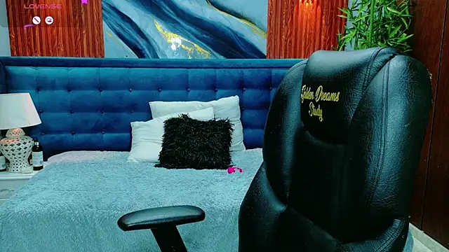 dilan 911 online show from February 25, 2026, 6:30 pm