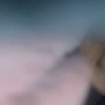 Snapshot of sarif-2 chatting on June 6, 2026, 1:11 am sarif-2 online show from June 6, 2026, 1:11 am