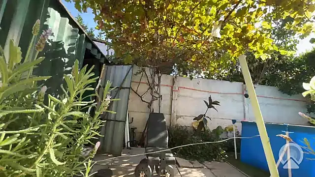 feeelipe2007 online show from March 27, 2026, 2:07 pm