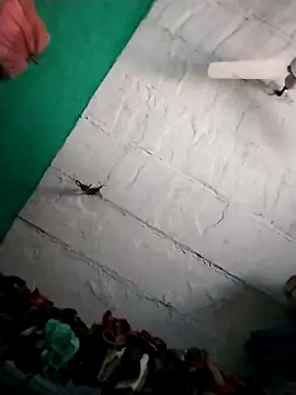 Sexi savita online show from October 10, 2025, 11:22 am