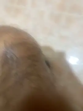 Snapshot of Binuthomas chatting on November 24, 2025, 5:02 pm Binuthomas online show from November 24, 2025, 5:02 pm