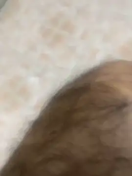 Snapshot of Binuthomas chatting on November 25, 2025, 6:08 pm Binuthomas online show from November 25, 2025, 6:08 pm