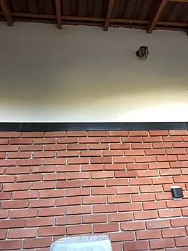 Dunot   online show from December 21, 2025, 9:22 am