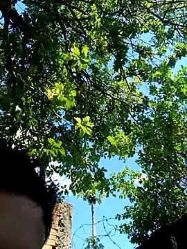 novinho safado   online show from December 5, 2025, 5:55 pm