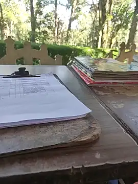 Snapshot of BasicGoal96 chatting on November 5, 2025, 8:17 am BasicGoal96 online show from November 5, 2025, 8:17 am