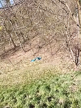 kot766 online show from April 7, 2026, 11:23 am