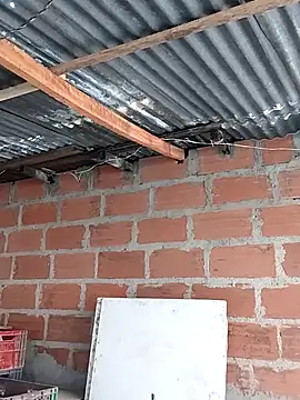 hoteder online show from December 2, 2025, 12:51 pm