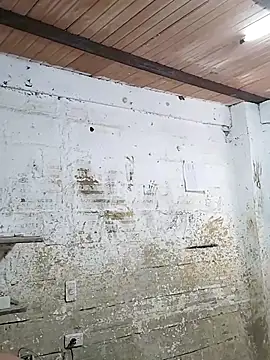 hoteder online show from October 16, 2025, 12:57 pm