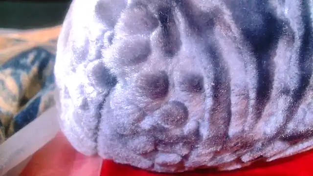 Snapshot of Sexy_PureFire chatting on November 5, 2025, 3:53 am Sexy PureFire online show from November 5, 2025, 3:53 am