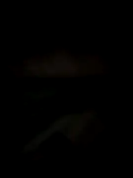 Snapshot of Lizbeth_Rouse chatting on December 14, 2025, 11:16 am Lizbeth Rouse online show from December 14, 2025, 11:16 am