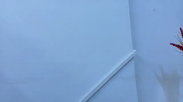 Snapshot of Lizbeth_Rouse chatting on November 6, 2025, 11:25 am Lizbeth Rouse online show from November 6, 2025, 11:25 am