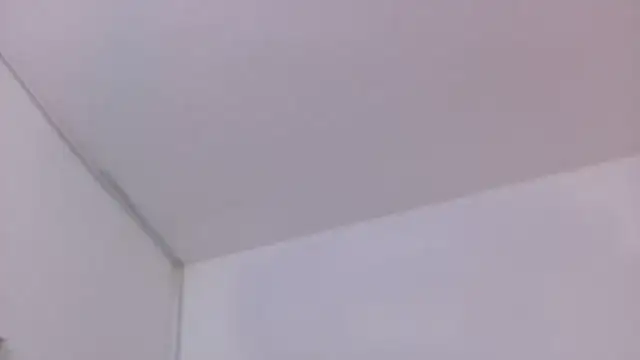 Snapshot of Lizbeth_Rouse chatting on November 30, 2025, 6:30 pm Lizbeth Rouse online show from November 30, 2025, 6:30 pm