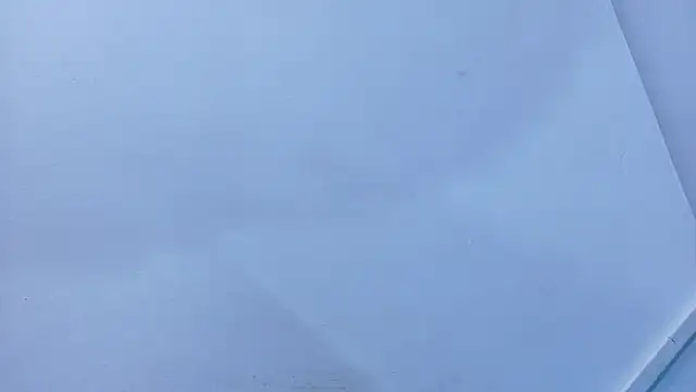 Snapshot of Lizbeth_Rouse chatting on November 9, 2025, 11:14 am Lizbeth Rouse online show from November 9, 2025, 11:14 am