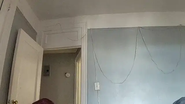 puddled wonderland online show from October 24, 2025, 6:40 pm