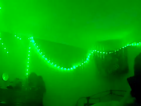 puddled wonderland online show from November 30, 2025, 8:48 am