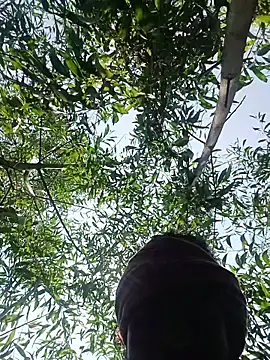 Snapshot of 96Rohon chatting on March 27, 2026, 6:22 am 96Rohon online show from March 27, 2026, 6:22 am