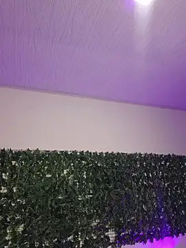 Snapshot of BellaRoux1 chatting on February 26, 2026, 11:54 am BellaRoux1 online show from February 26, 2026, 11:54 am