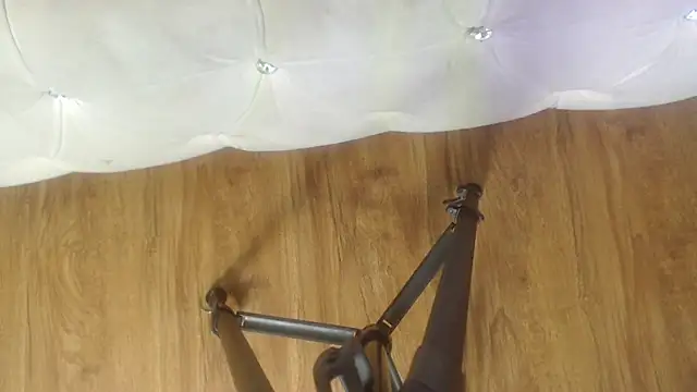 RylieRoss online show from November 27, 2025, 1:33 pm