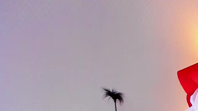 Snapshot of Lillie_Berry chatting on October 25, 2025, 4:44 am Lillie Berry online show from October 25, 2025, 4:44 am