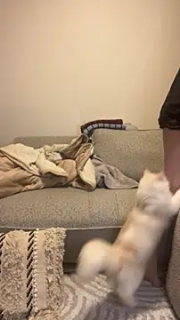 Snapshot of misa_mo chatting on April 10, 2026, 1:07 pm misa mo online show from April 10, 2026, 1:07 pm