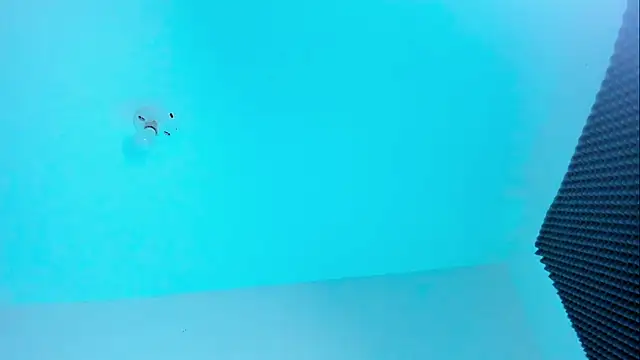 Snapshot of Im_naho chatting on October 22, 2025, 11:03 pm Im naho online show from October 22, 2025, 11:03 pm