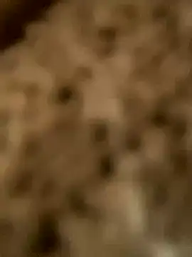 PhanHaa online show from November 18, 2025, 1:54 am