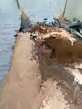 wrdew online show from January 13, 2026, 4:05 am