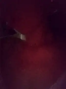 sulove xx online show from November 12, 2025, 1:04 pm