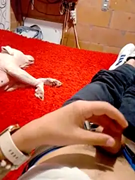 Zesa7 online show from February 5, 2026, 6:04 pm