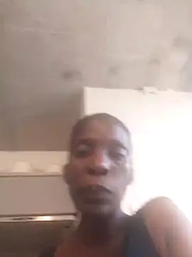 londie2 online show from February 4, 2026, 10:54 am