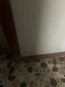 Thichphunudamdang online show from February 2, 2026, 10:14 am