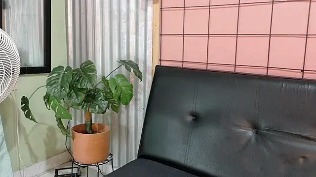 Daiisy kiss online show from February 4, 2026, 7:58 am