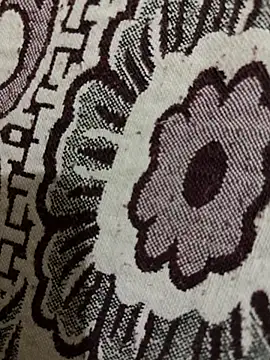 Snapshot of HaltBrand chatting on November 10, 2025, 12:48 am HaltBrand online show from November 10, 2025, 12:48 am