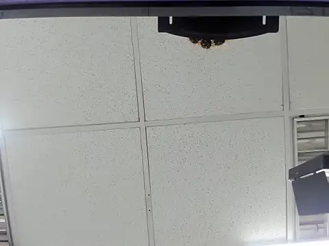 Snapshot of Aisha_hotts777 chatting on March 20, 2026, 2:45 am Aisha hotts777 online show from March 20, 2026, 2:45 am