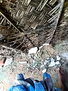 Snapshot of dolphiinn chatting on November 30, 2025, 4:35 am dolphiinn online show from November 30, 2025, 4:35 am