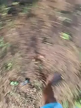 Snapshot of dolphiinn chatting on March 12, 2026, 2:06 am dolphiinn online show from March 12, 2026, 2:06 am