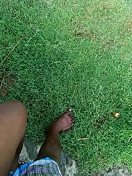 Snapshot of dolphiinn chatting on November 7, 2025, 2:27 am dolphiinn online show from November 7, 2025, 2:27 am