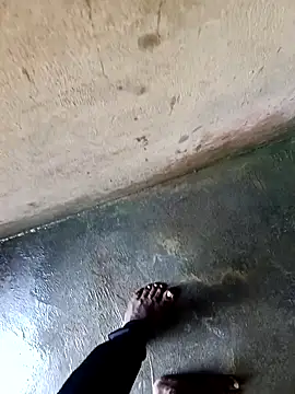 Snapshot of dolphiinn chatting on December 3, 2025, 1:39 am dolphiinn online show from December 3, 2025, 1:39 am